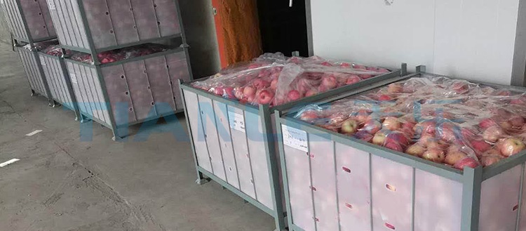 水果冷庫(kù)庫(kù)—中空板